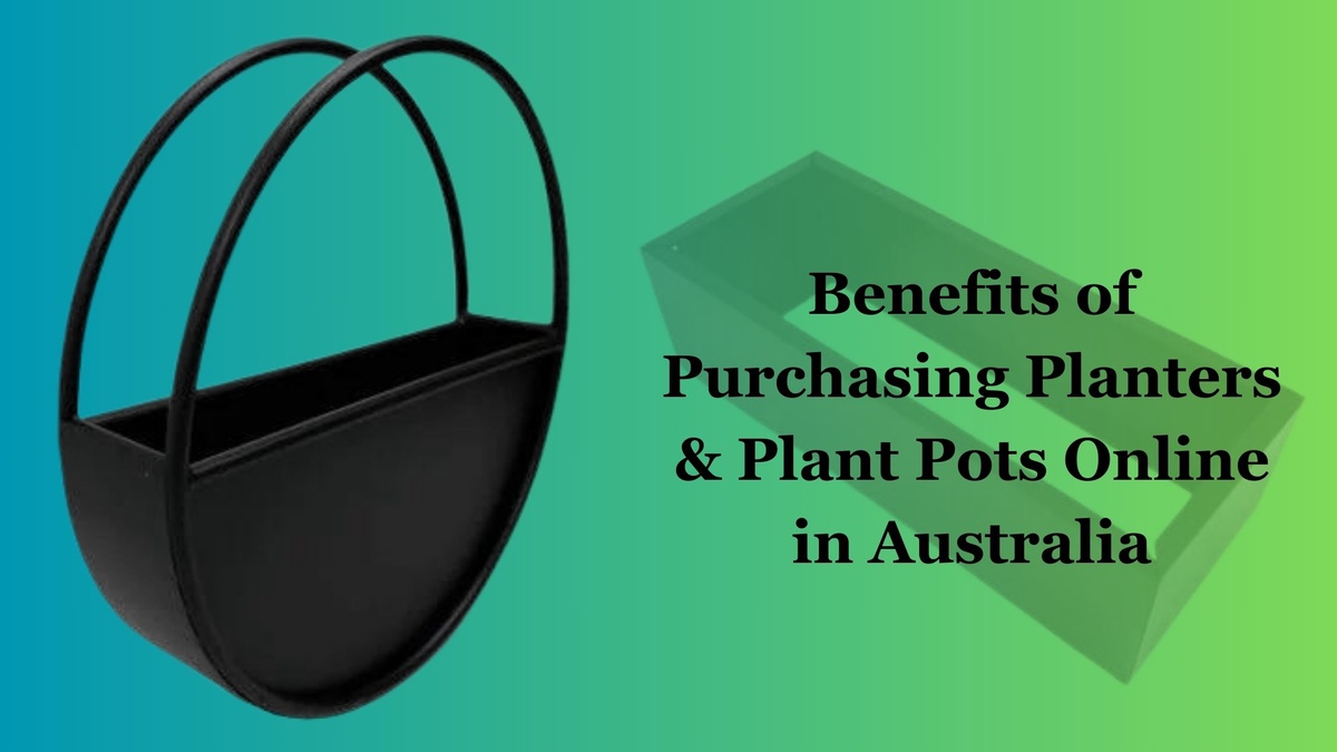 Benefits of Purchasing Planters & Plant Pots Online in Australia