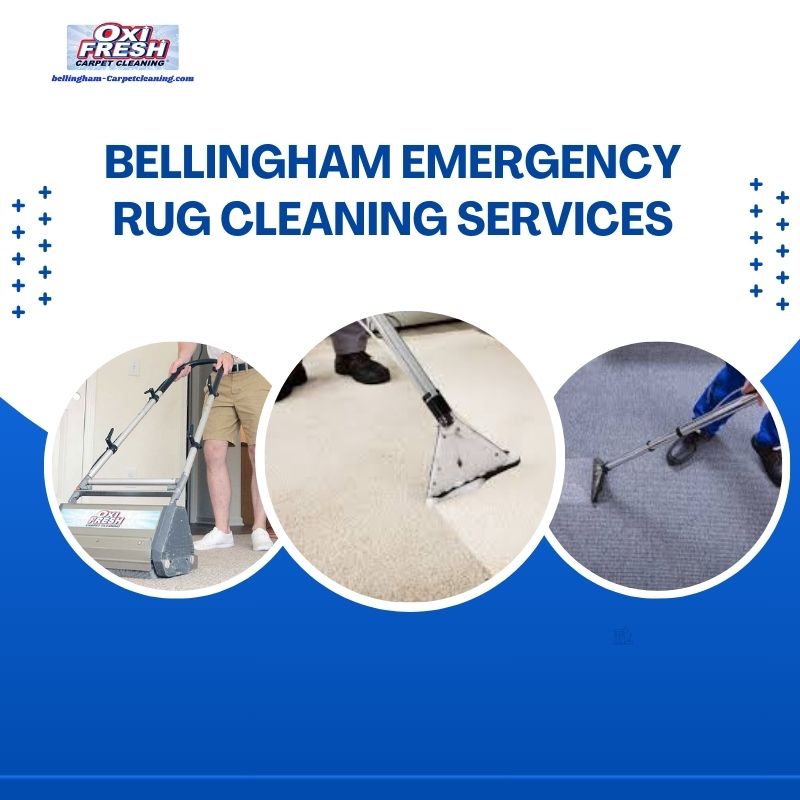 Restoring Elegance: Bellingham Carpet Cleaning's Expert Emergency Rug Cleaning Services