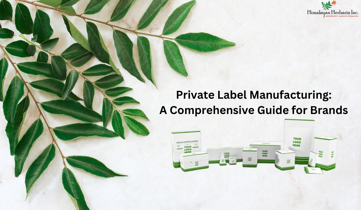 Private Label Manufacturing: A Comprehensive Guide for Brands