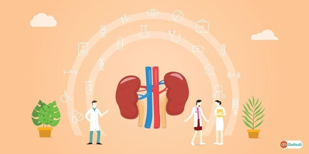Comprehensive Guide to Kidney Treatment in India: Understanding Procedures, Costs, and Recovery