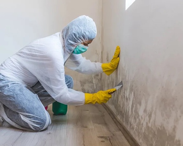 Are You Ready to Restore Your Home’s Integrity? Dive into Mold Remediation!