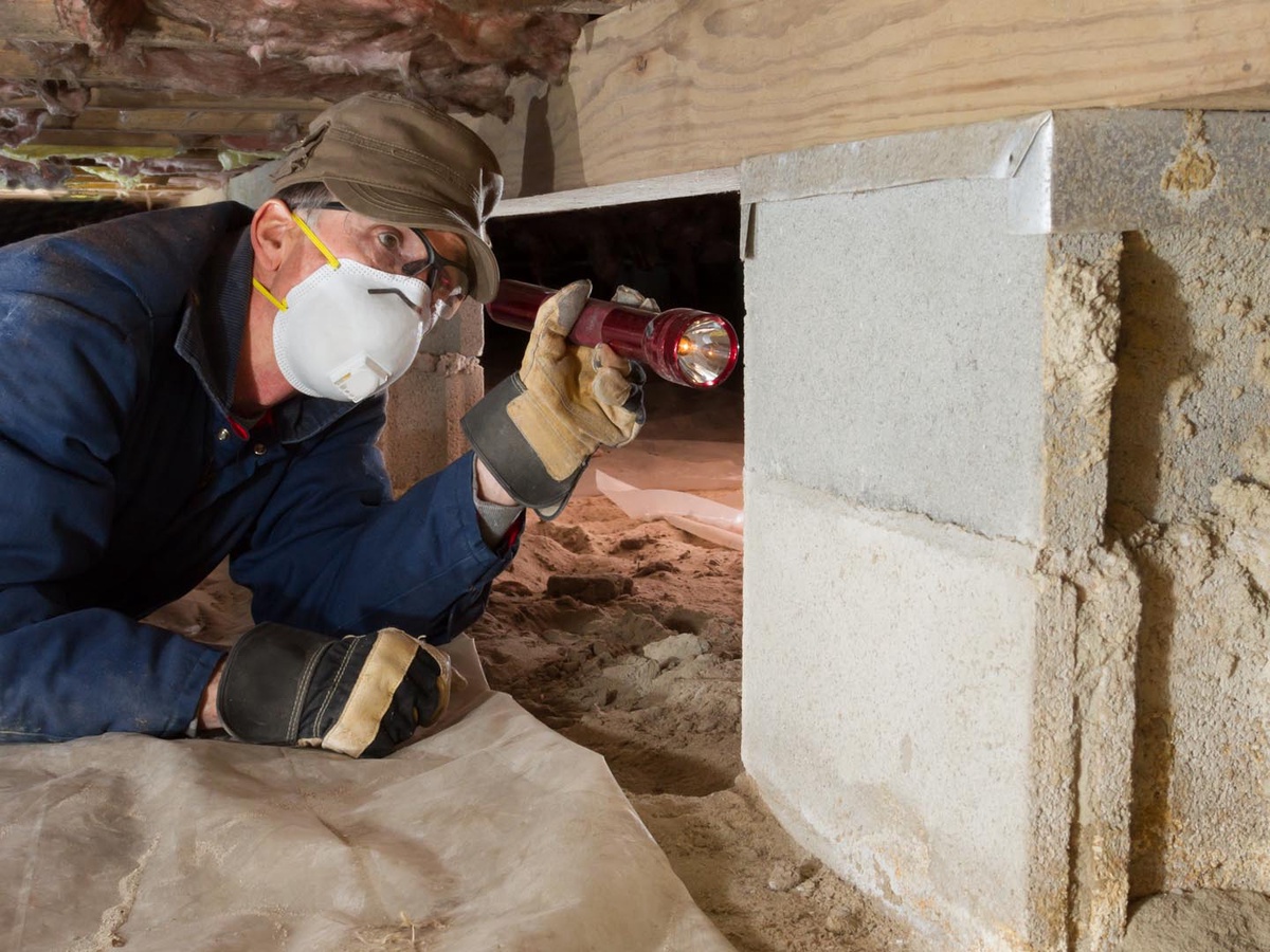 The Importance of Building Inspections: Safeguarding Your Investment