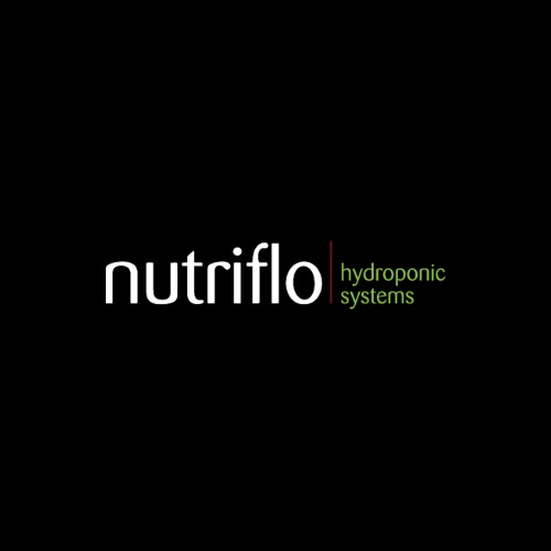 Cultivating Success: A Guide to Hydroponic Suppliers