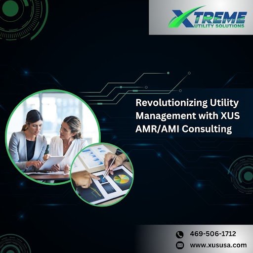 Revolutionizing Utility Management with XUS AMR/AMI Consulting