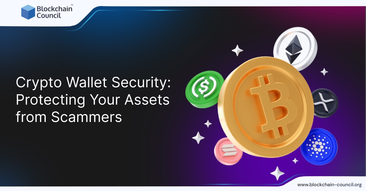 Crypto Wallet Security: Protecting Your Assets from Scammers