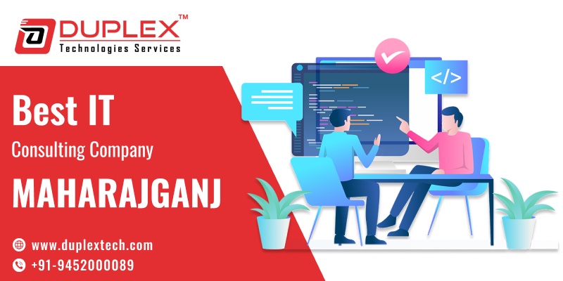 Top IT Consulting Company in Maharajganj - Duplex Technologies