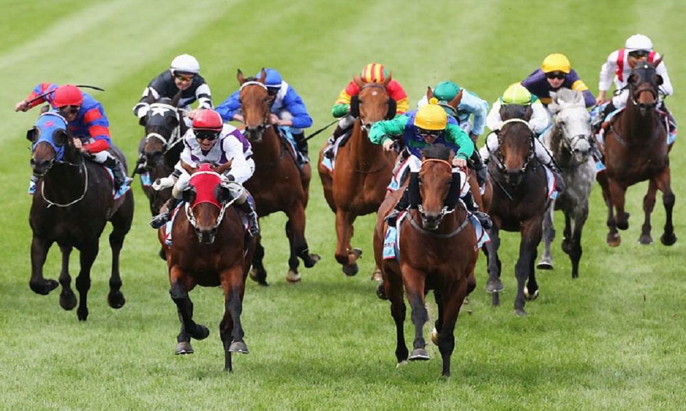 Top Mistakes to Avoid When Selecting a Bloodstock Agent