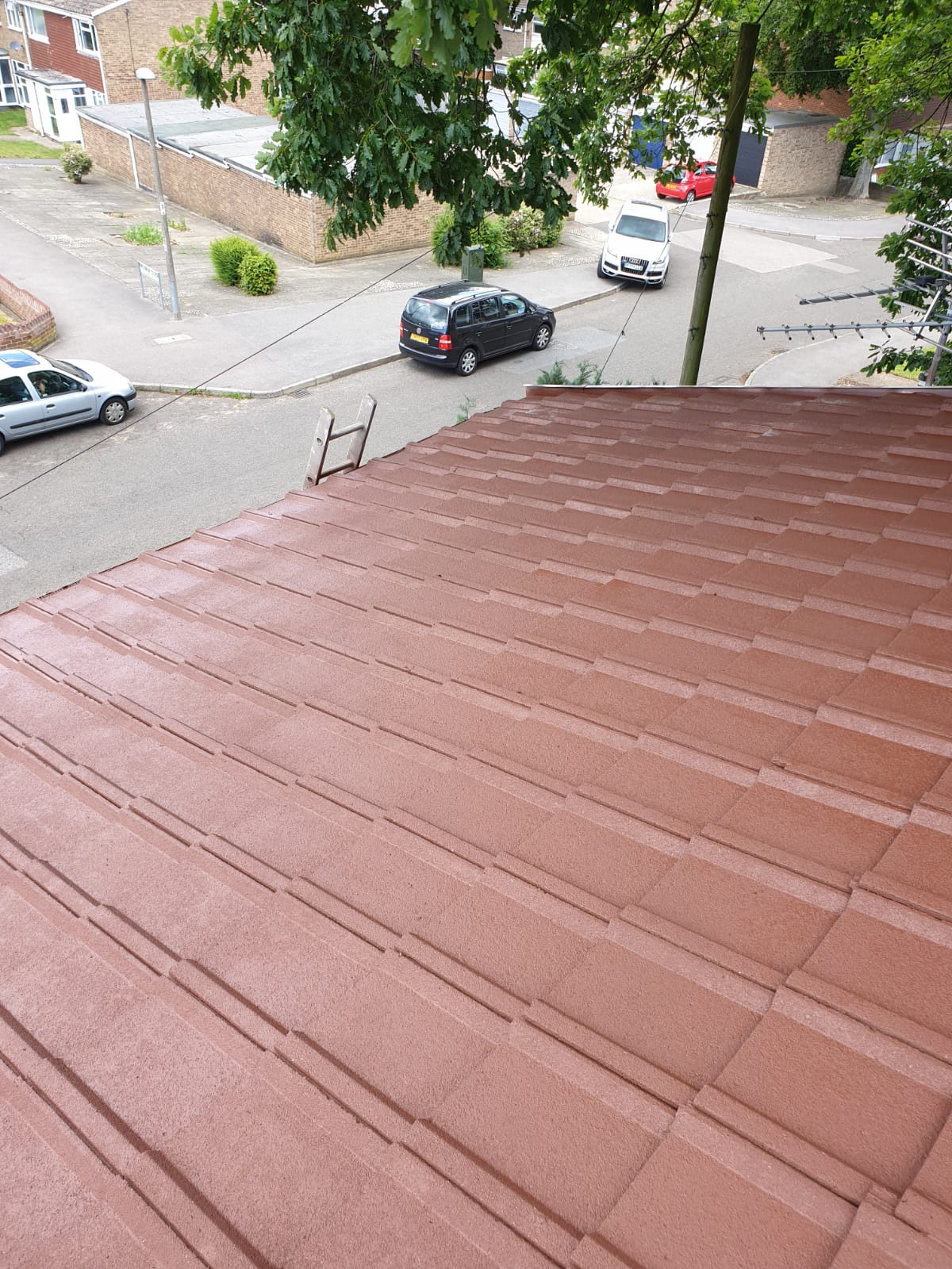 Factors To Be Considered Before Choosing Roof Moss Removal Company