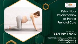 When is the right time to start pelvic floor physiotherapy during pregnancy?
