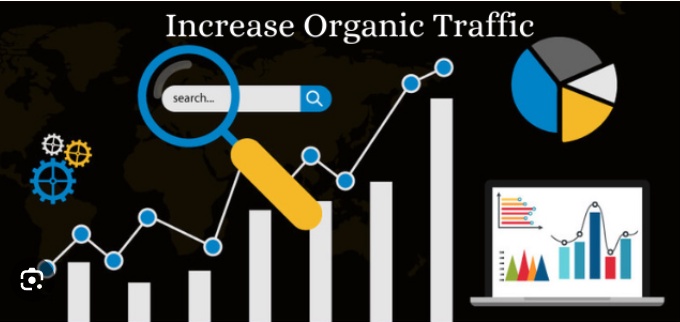 How to Maximize Organic Traffic for Business Websites?