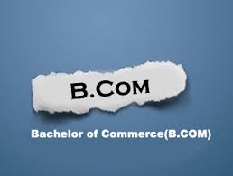 What Is The Difference Between B.Com Honours And B.Com?