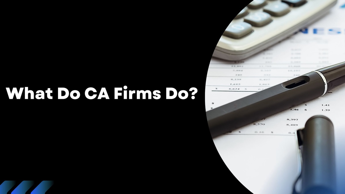 What Do CA Firms Do?