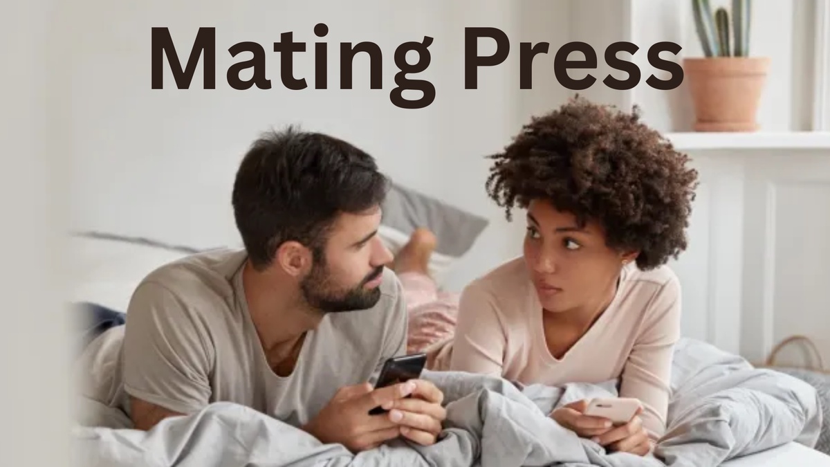 Exploring the Best Places To Look For A Mating Press