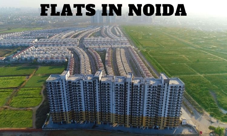 Flats in Noida | Luxury Flats For Sale in Noida City
