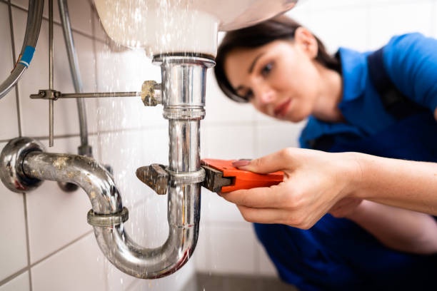 Unraveling the Excellence of Doyle Plumbing Group: Your Go-To for Plumbing Services in Brighton