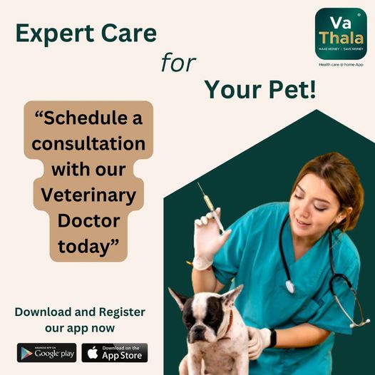 5 Compelling Reasons to Download a Veterinary Doctor App Today