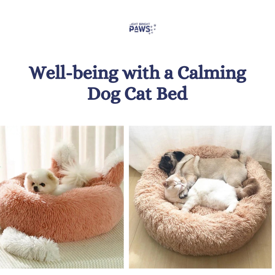 Enhance Your Pet's Well-Being With a Calming Dog Cat Bed