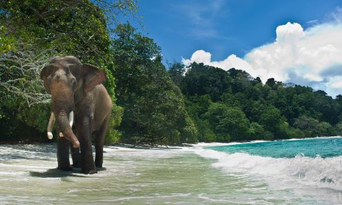 Five things to know about Andaman Island in India