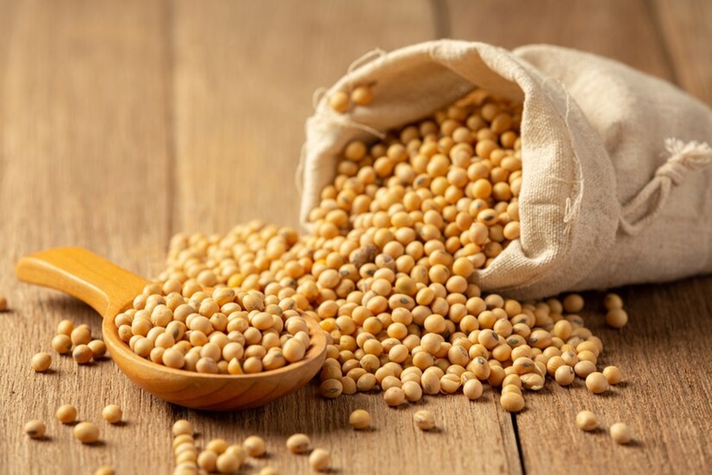 Understanding Soybean's Significance: What Makes It So Important?