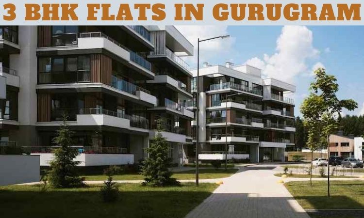3 BHK Flats in Gurugram | Flats for Sale