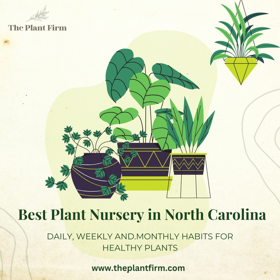 Expert Tips for Choosing the Best Plant Nursery in North Carolina