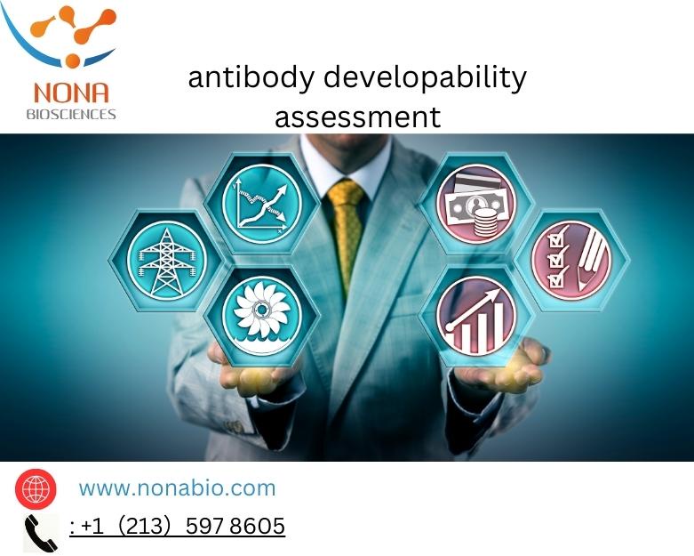 Enhancing Antibody Therapeutics: The Critical Role of Developability Assessment at Nona Biosciences