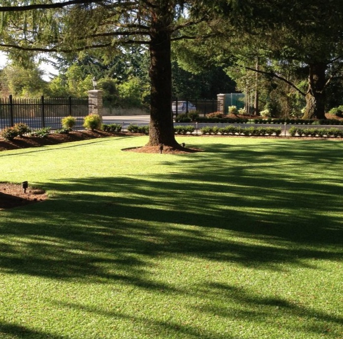 Elevate Your Nanaimo Property with Premium Synthetic Grass: Unveiling the Benefits of Pet Turf
