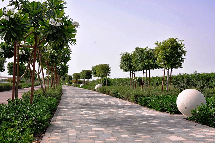 Pioneering Innovations in Hardscape Landscaping Installation in Riyadh