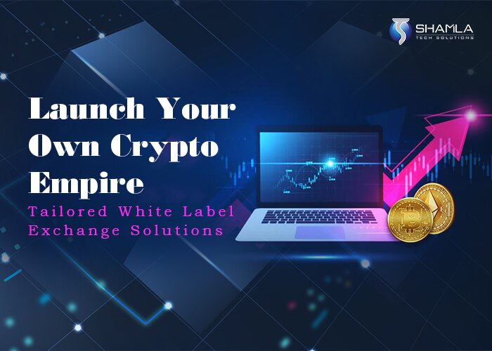 Whitelabel crypto exchange development; A step by step guide on cryptocurrency exchange!