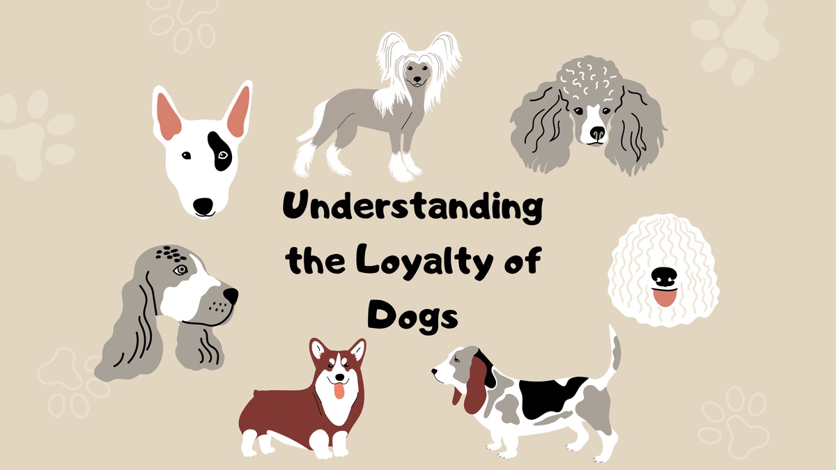Unraveling the Canine Code: Understanding the Loyalty of Dogs