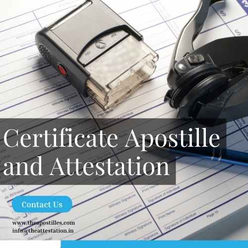 Ensuring Credibility: The Significance of Attestation and Apostille for Business and Legal Purposes