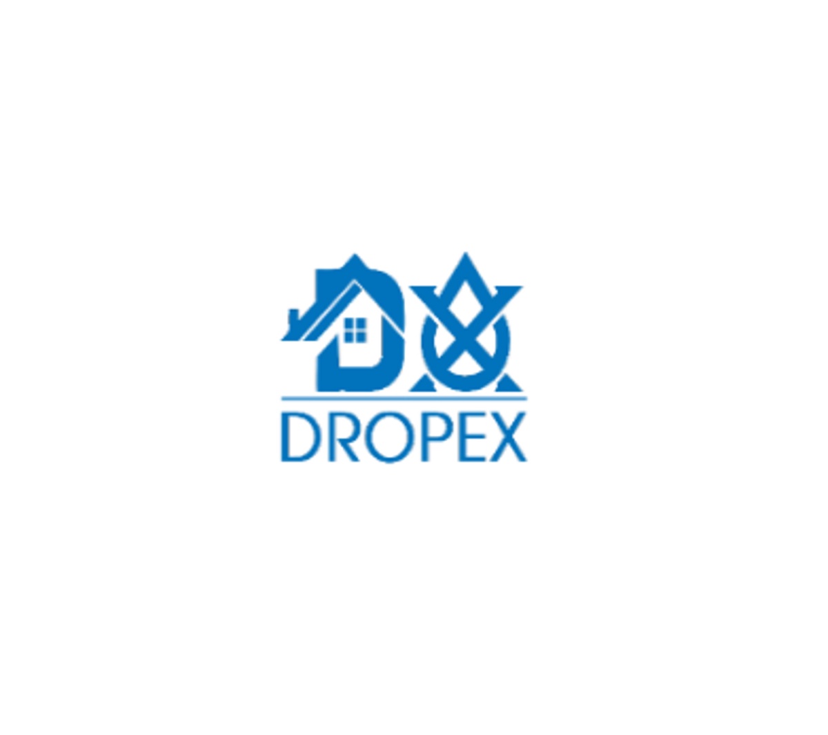 Dropex: Mohali's Top Choice for Terrace Waterproofing