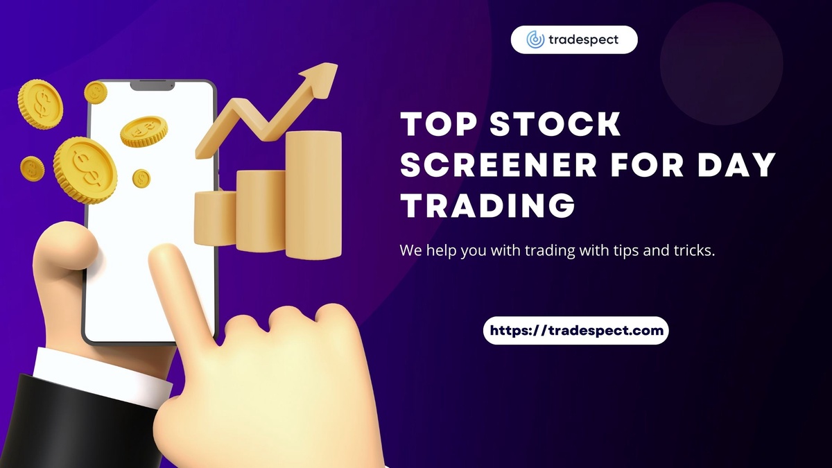 A Guide To Select Top Stock Screener For Day Trading Success