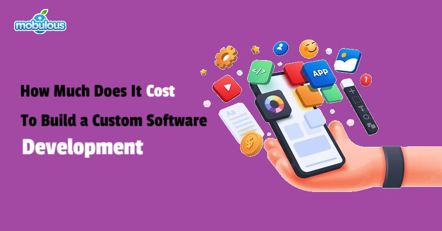 How Much Does It Cost to Build a Custom Software Development?