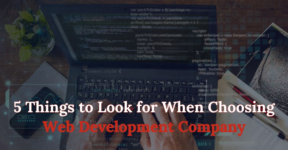 5 Things to Look for When Choosing a Web Development Company