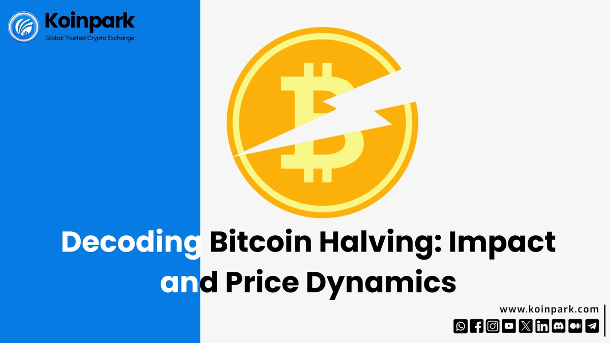 Decoding Bitcoin Halving: Impact and Price Dynamics