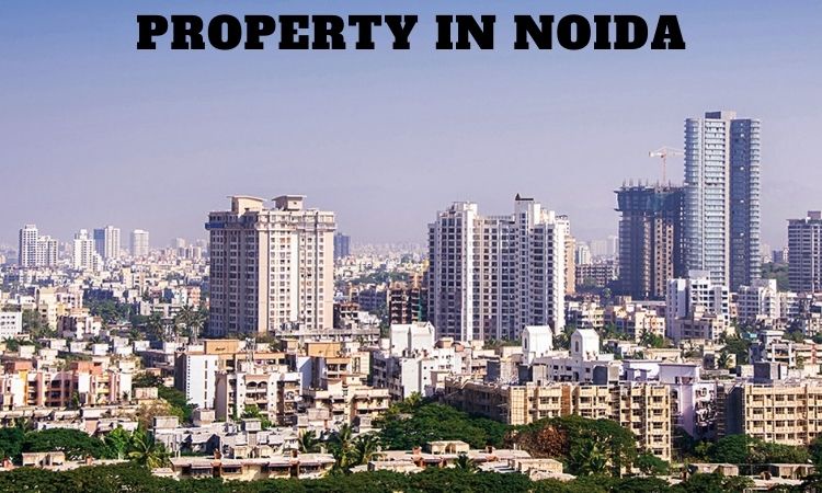 Property in Noida | Luxury Property in Noida For Sale