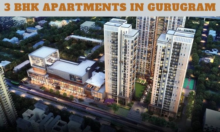 3 BHK Apartments in Gurugram | Apartments For Sale