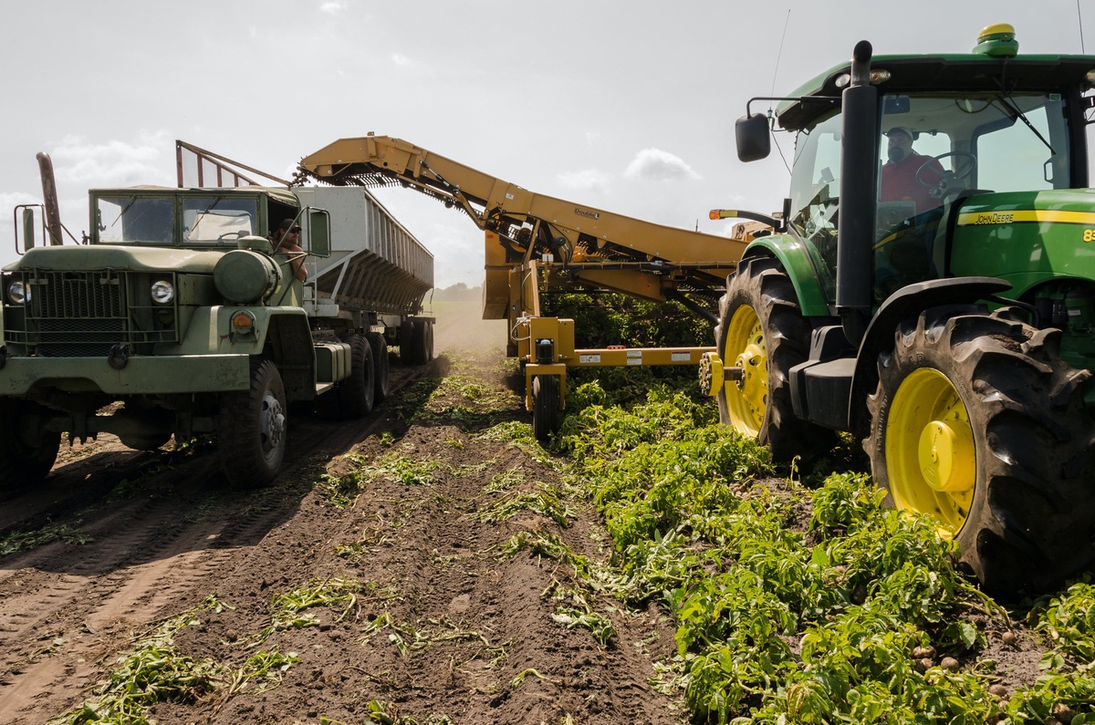 How Can Market Research Help In Understanding Organic Fertilizer Business Plan?
