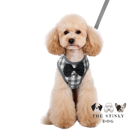Finding the Perfect Harness for Your Pup: A Comprehensive Guide
