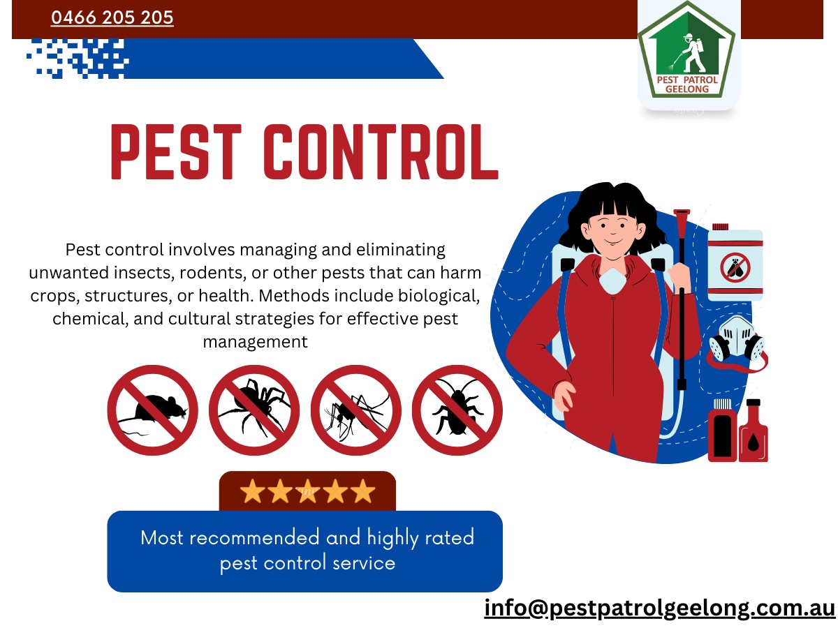 The Impact of Rat Pest Control on Your Home