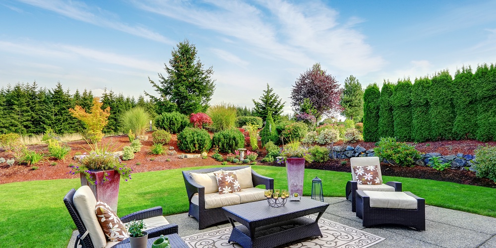 Achieve a Stunning Landscape Without Breaking the Bank