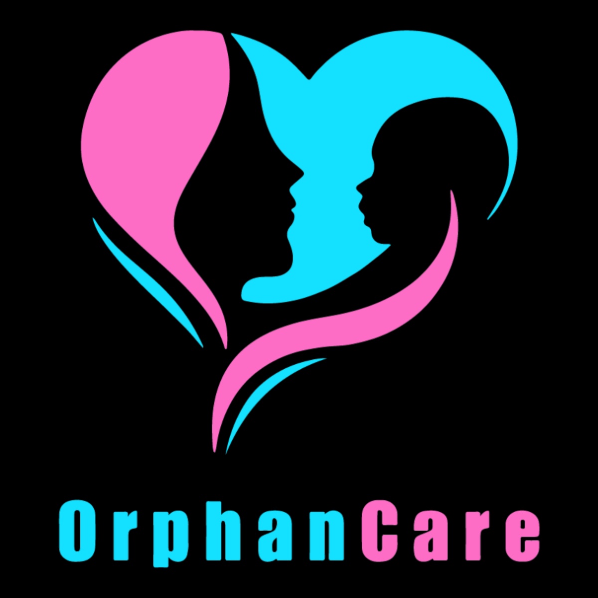 What is the role of the Orphan Foundation