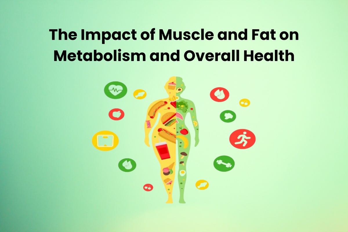 The Impact of Muscle and Fat on Metabolism and Overall Health