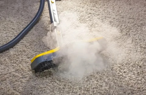 How Often Should You Invest in Carpet Steam Cleaning for Pets Owners