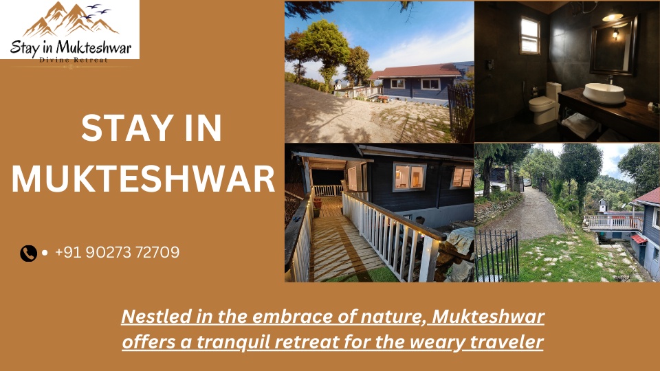Stay Amongst the Stars: Discovering Mukteshwar's Premier Accommodation Options at Devine Homes