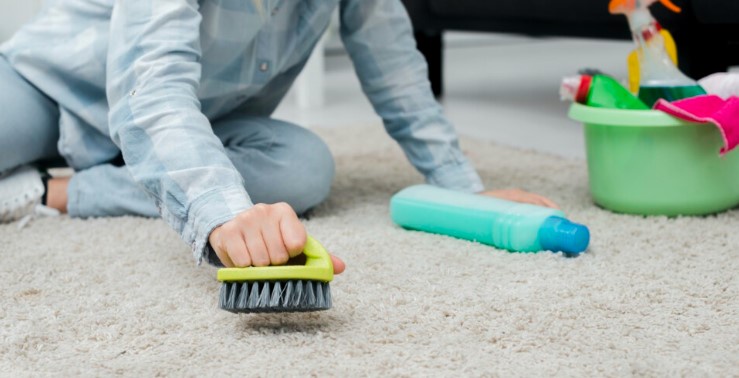Pro Tips for Tackling Tough Carpet Stains in Singapore