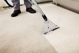 Professional Carpet Cleaners In Scottsdale AZ- What To Expect