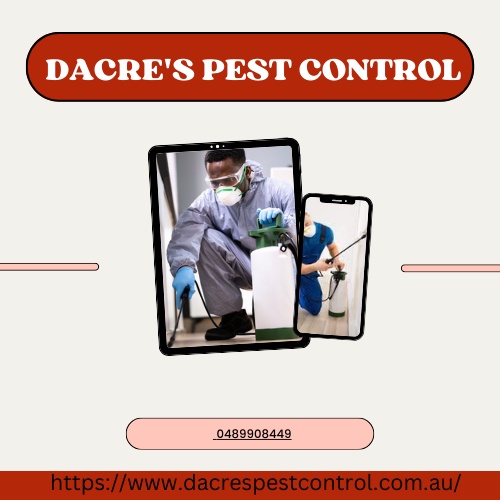 Safe Haven from Pests: Dacre's Expert Pest Management