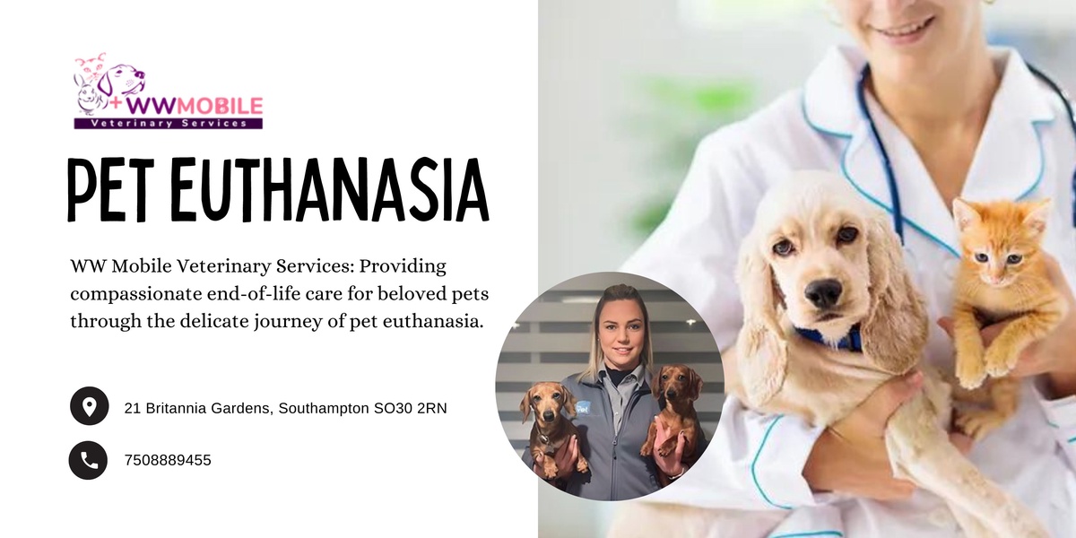 A Guide to Pet Euthanasia and Grief | WW Mobile Veterinary Services